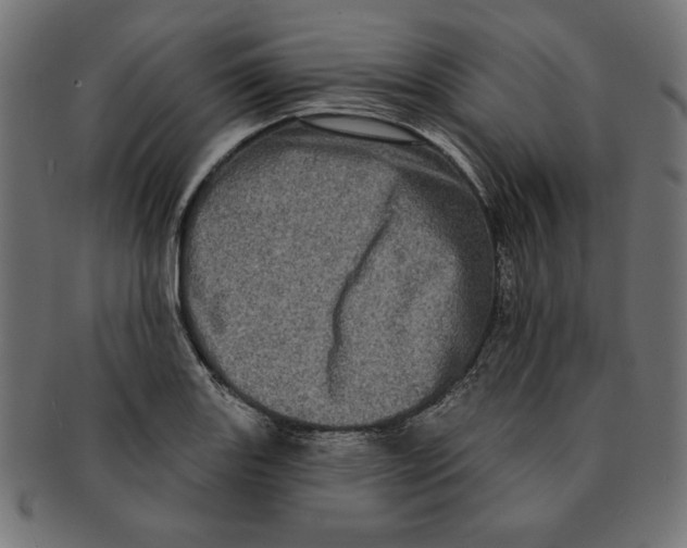 X0000091211131200709061434