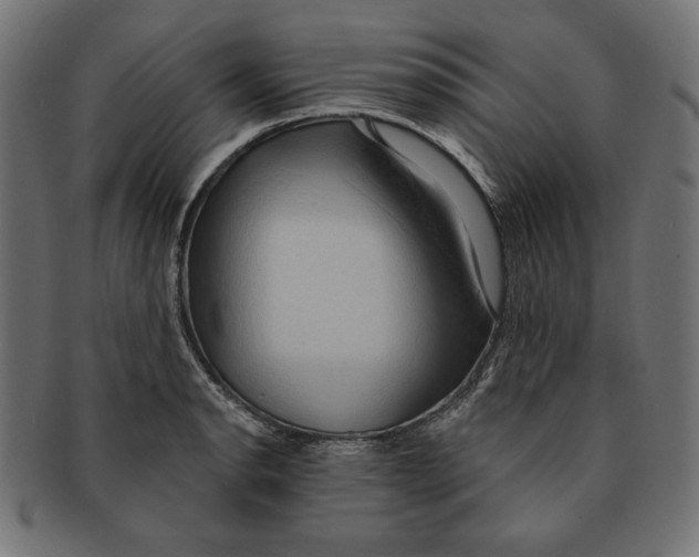 X0000091211134200709061434