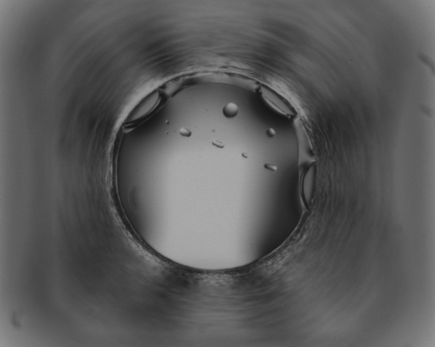 X0000091211136200709061434