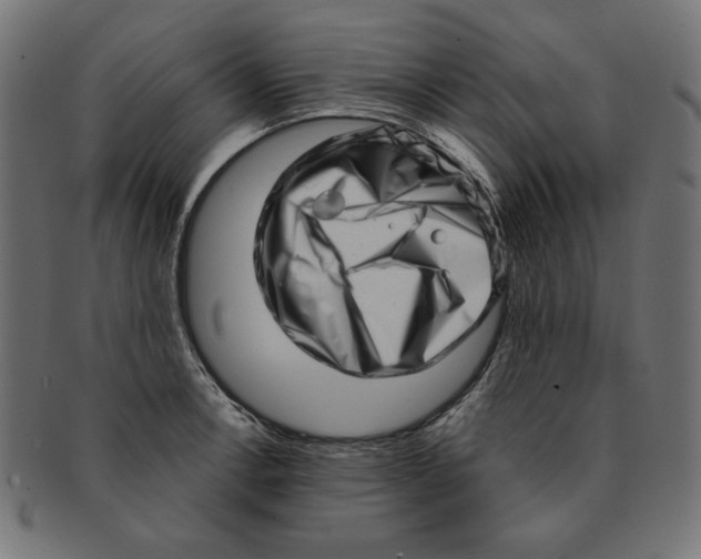 X0000091211138200709061434