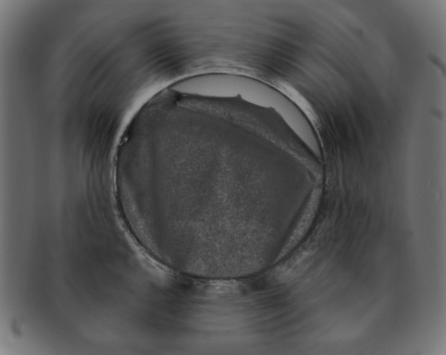 X0000091211144200709061434