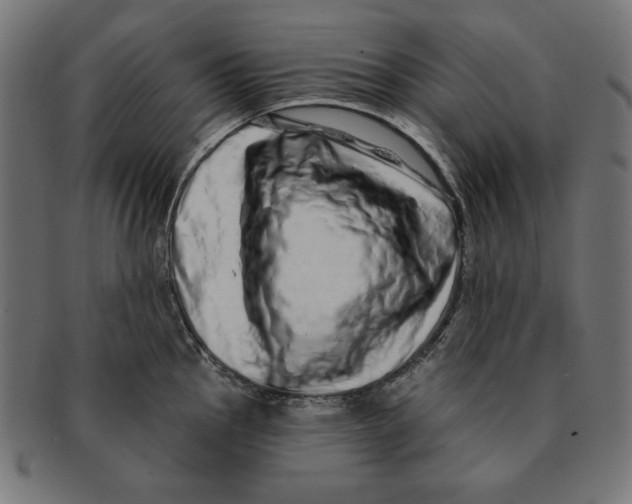 X0000091211145200709061435