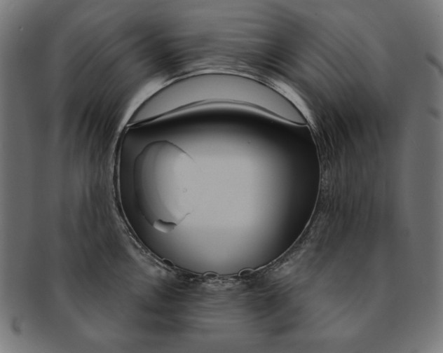 X0000091211146200709061435