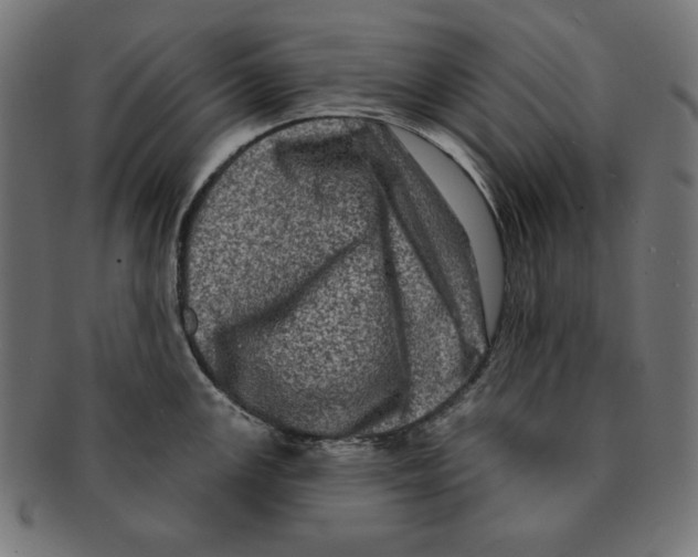 X0000091211147200709061435