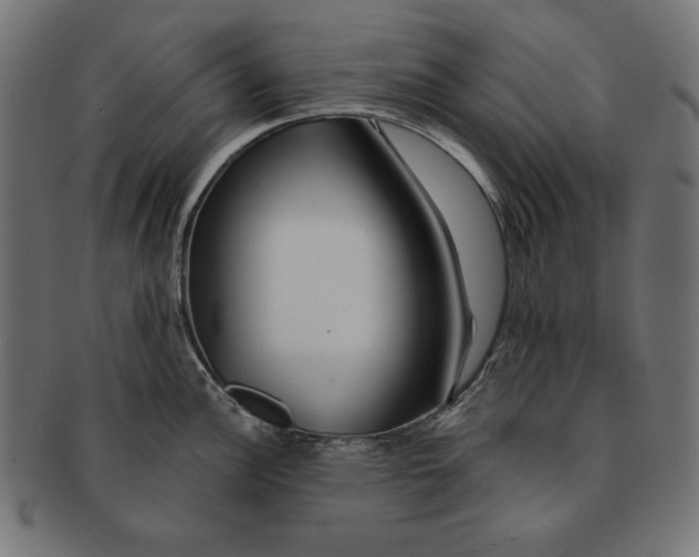 X0000091211148200709061435