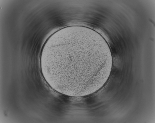 X0000091211150200709061435