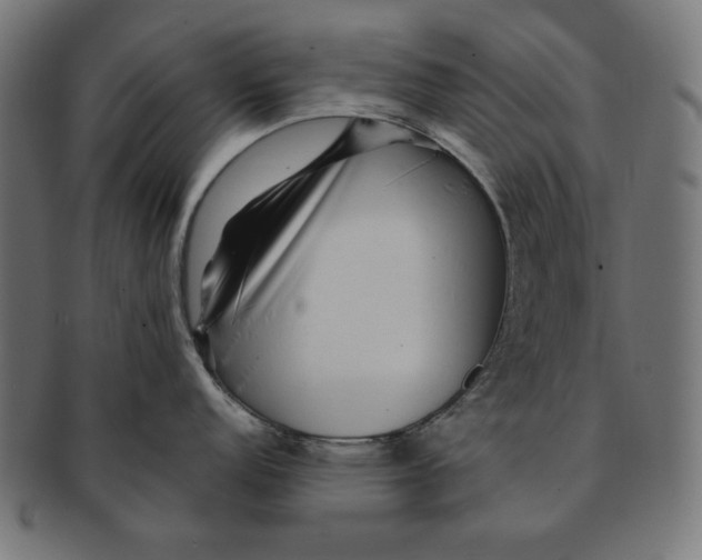 X0000091211152200709061435