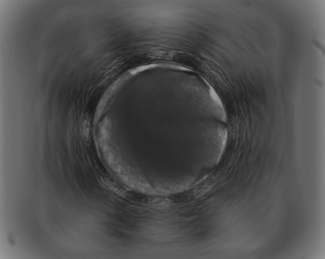 X0000091211154200709061434