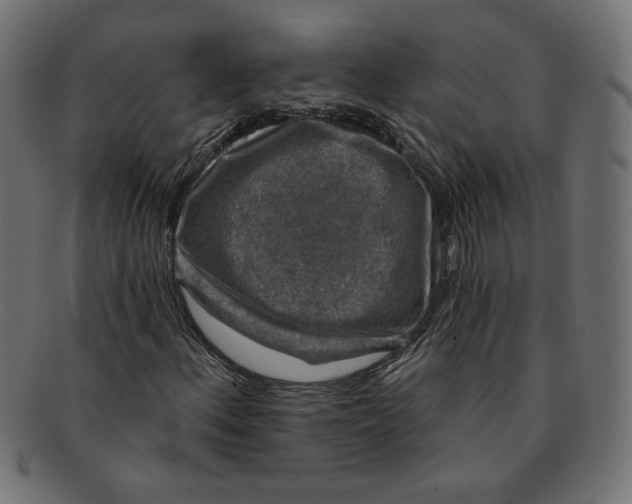 X0000091211156200709061434