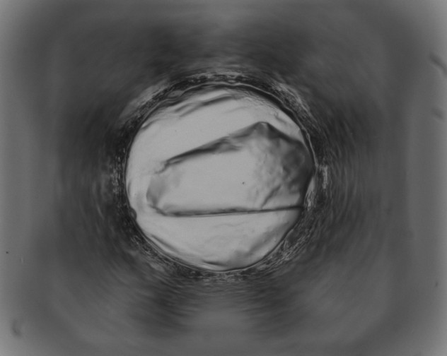 X0000091211159200709061434