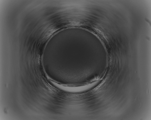 X0000091211161200709061434