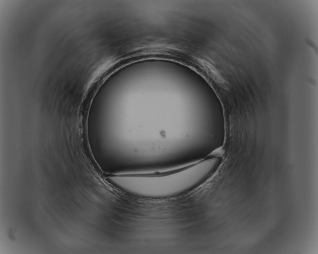 X0000091211164200709061434