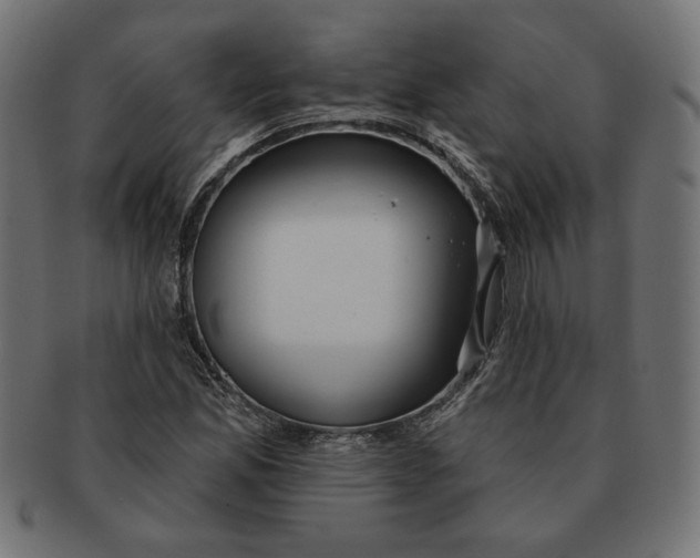 X0000091211165200709061434