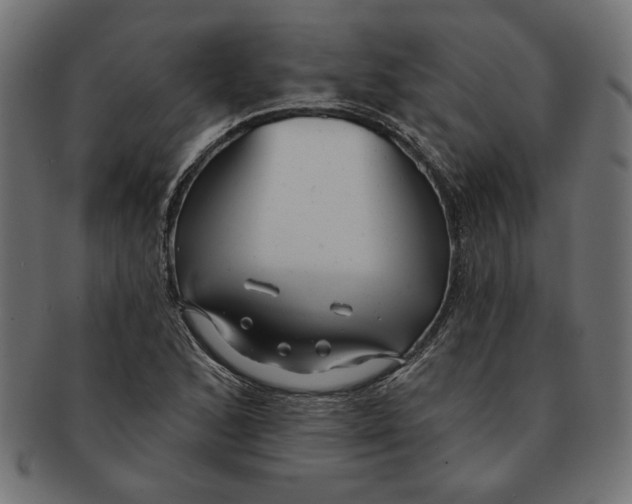 X0000091211168200709061434