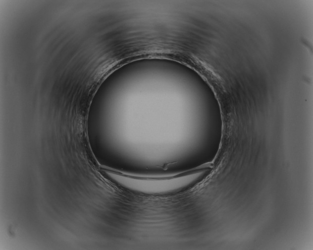 X0000091211169200709061434