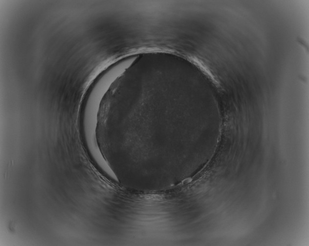 X0000091211173200709061434