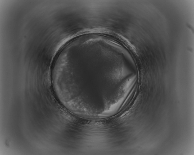 X0000091211174200709061434