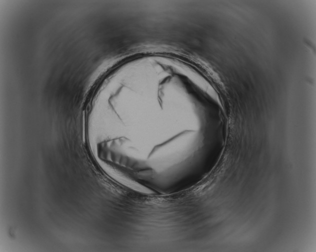 X0000091211175200709061434