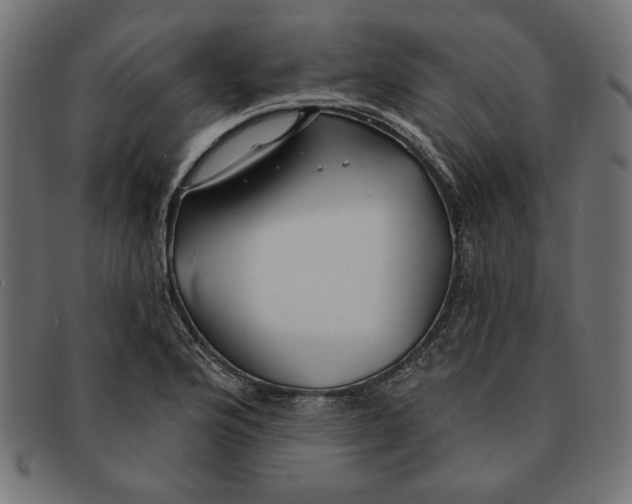 X0000091211176200709061434