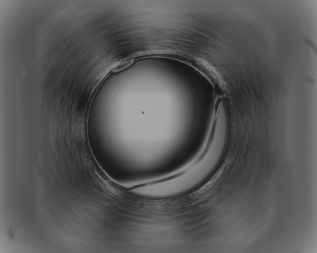 X0000091211177200709061434