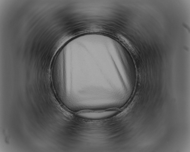 X0000091211178200709061434