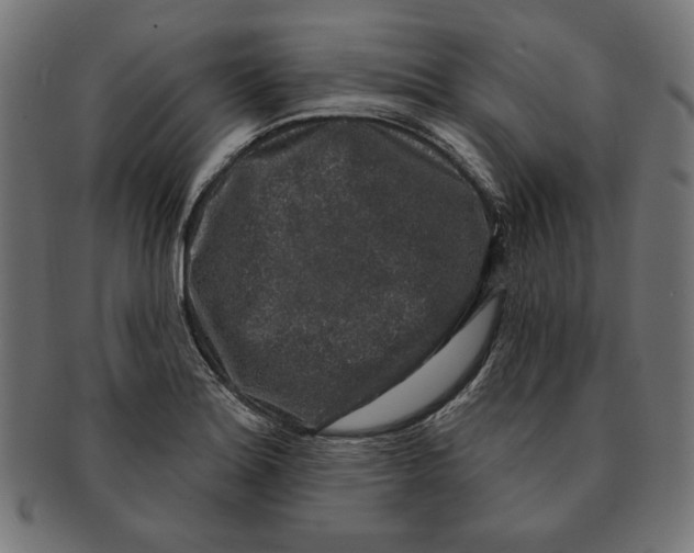 X0000091211180200709061434