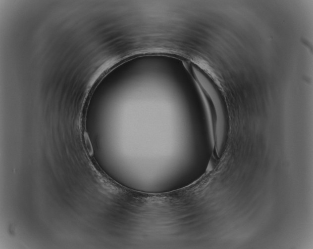 X0000091211181200709061434