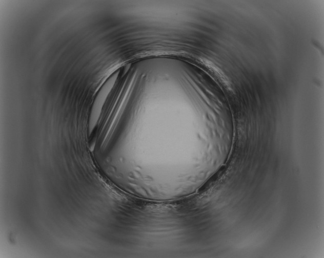 X0000091211185200709061434