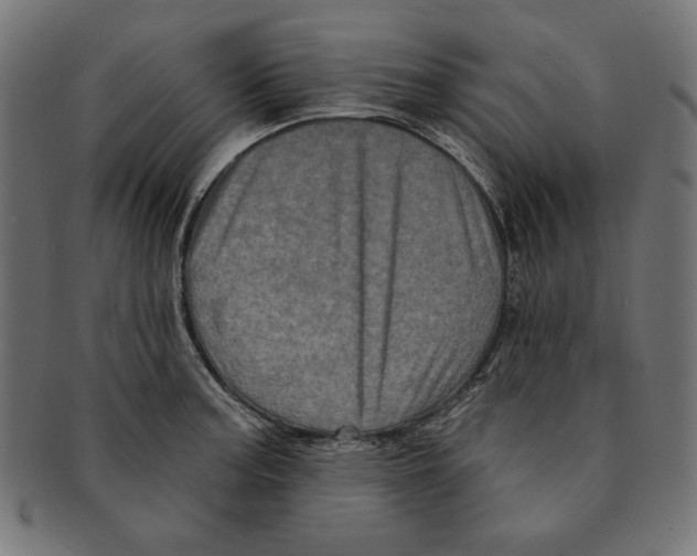 X0000091211187200709061434