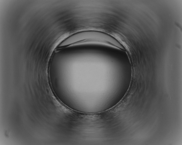 X0000091211189200709061434