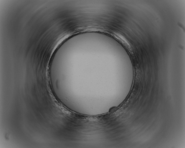 X0000091211190200709061434