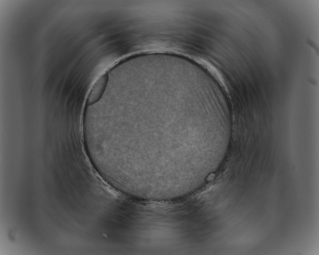 X0000091211191200709061434