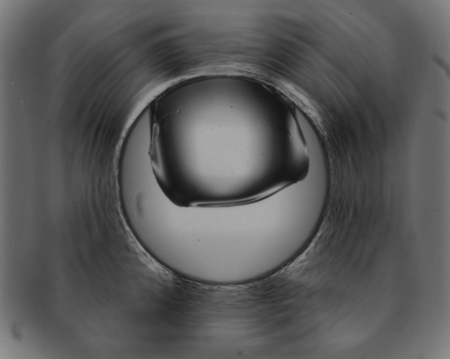 X0000091211192200709061434