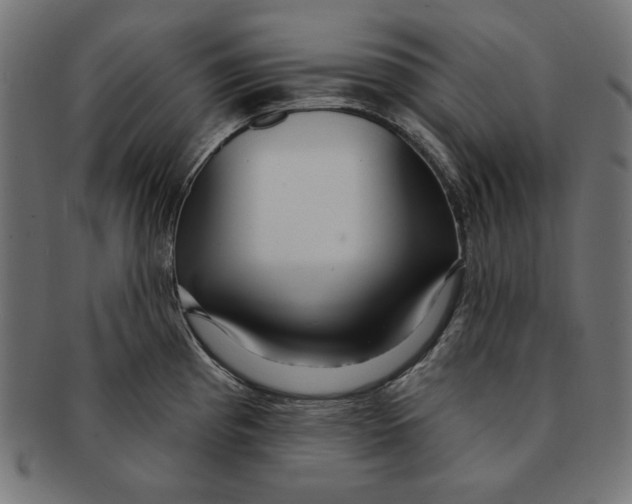 X0000091211193200709061434