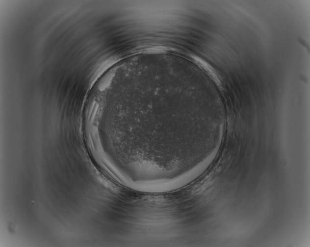 X0000091211194200709061434