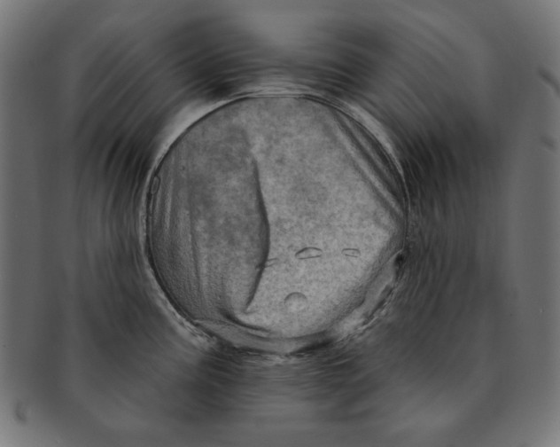 X0000091211195200709061434