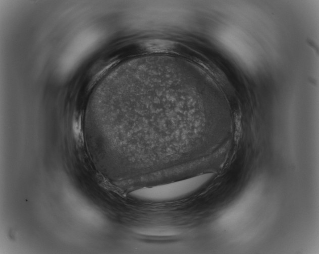 X0000091211198200709061433