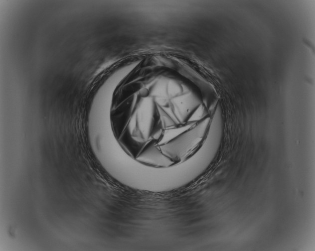 X0000091211206200709061433