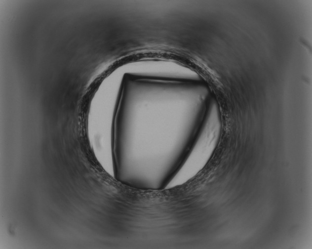 X0000091211208200709061433