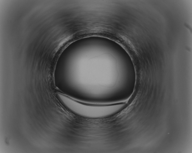 X0000091211210200709061433