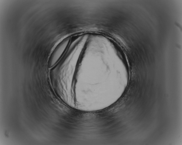 X0000091211212200709061433