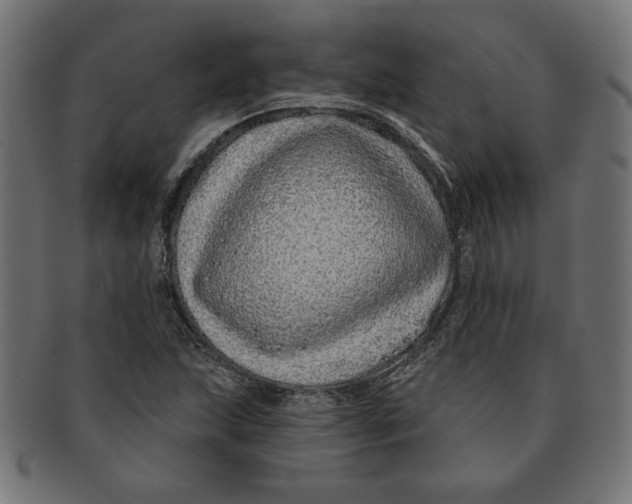 X0000091211215200709061433