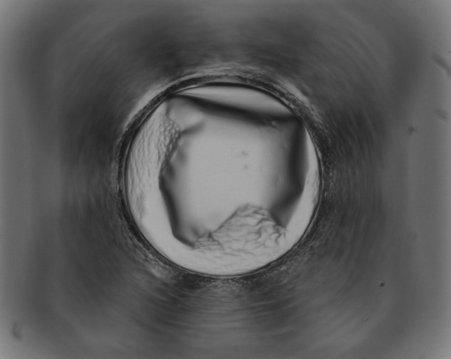 X0000091211216200709061433