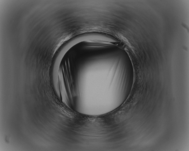 X0000091211218200709061433