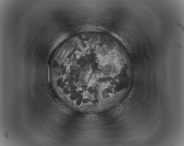 X0000091211219200709061433