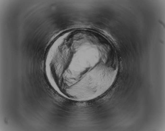 X0000091211220200709061433