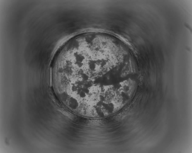 X0000091211223200709061433