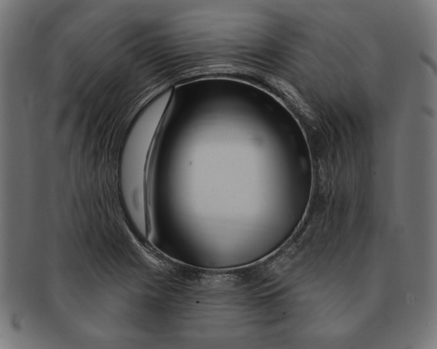 X0000091211225200709061433