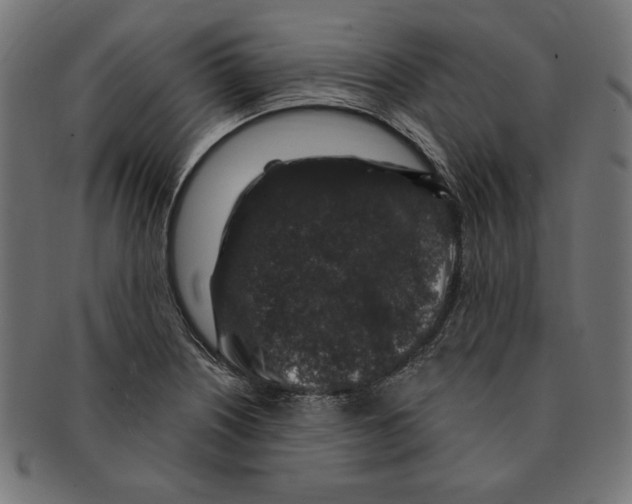 X0000091211226200709061433