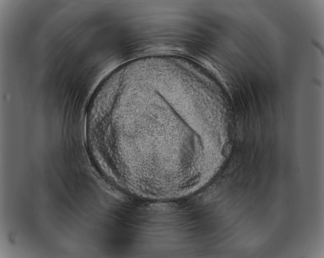 X0000091211227200709061433